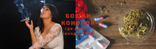 стаф Рославль
