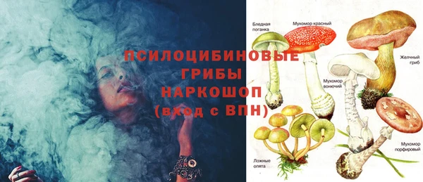 стаф Рославль