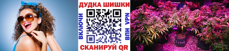 Бошки Шишки OG Kush  KRAKEN как зайти  Арзамас 